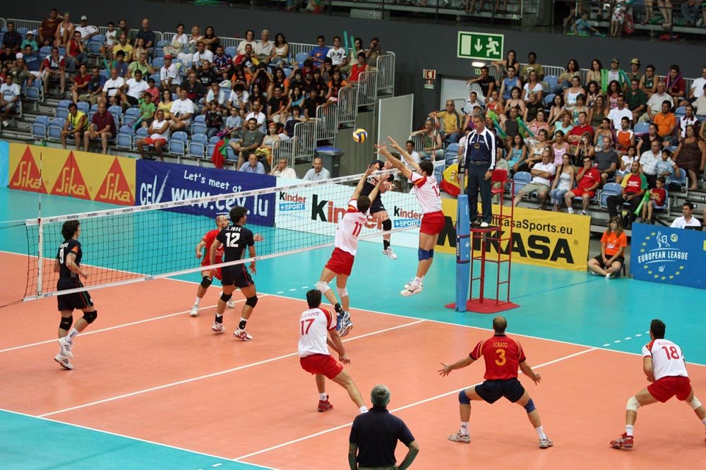 Real Federación Española de Voleibol tweet media