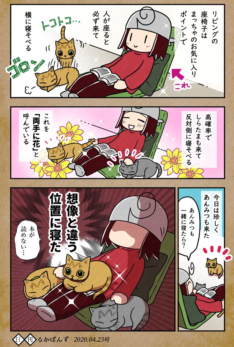 【毎日更新/猫マンガ】
猫のすることは想像の斜め先を行く話。

#保護猫3兄妹 #猫 #ねこ漫画 #コミックエッセイ #猫まんが 