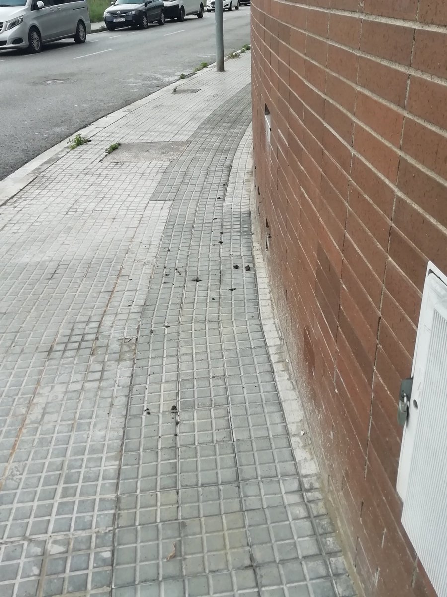 davidriucanals's tweet photo. @aj_centelles s'ha agrairia una passada per el carrer Can Minguet. Les voreres están plenes de MERDA de gos. Ja que els amos no les recullen, i les deixen a la porta de casa, podrieu fer arribar l'home que se'n carrega. Els veïns estaríem molt i molt agraïts. Gràcies. https://t.co/3Vga8JIcvX