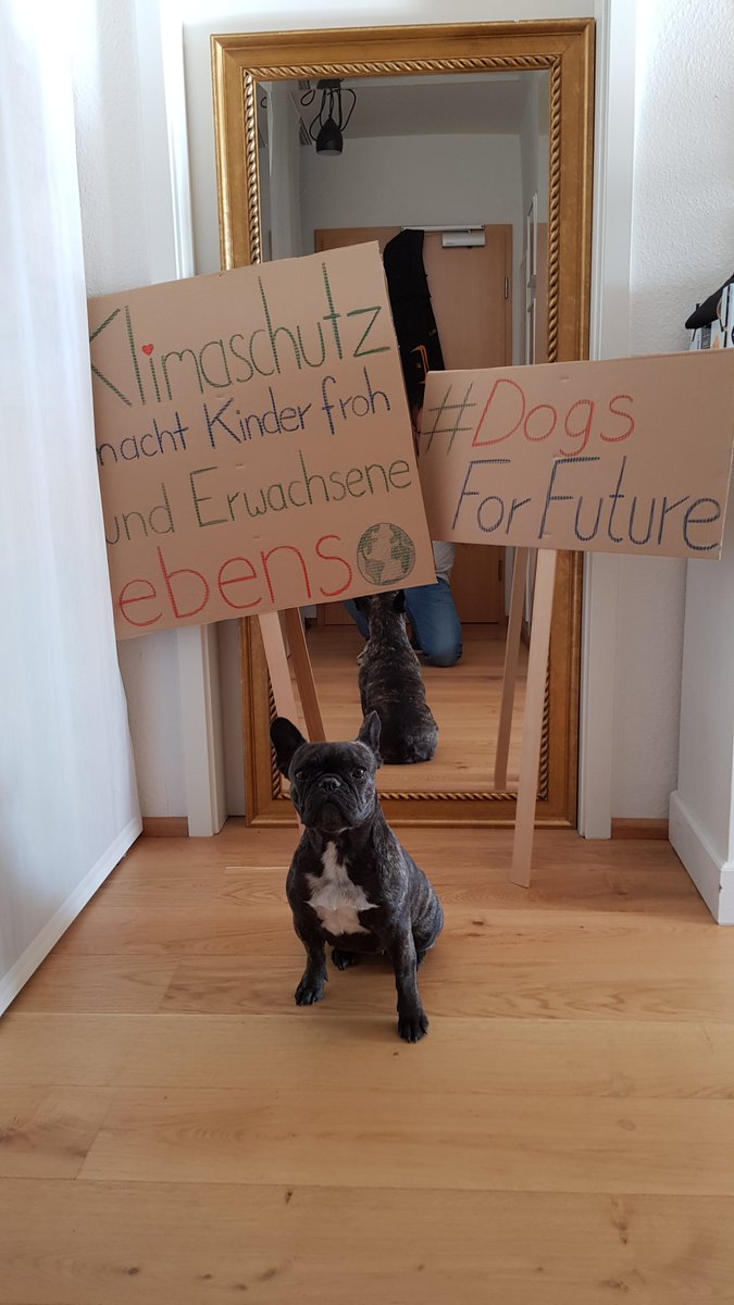 dogsforfuture's tweet photo. Welcher #dogsforfuture ist noch dabei? https://t.co/nSLkwwlGrs