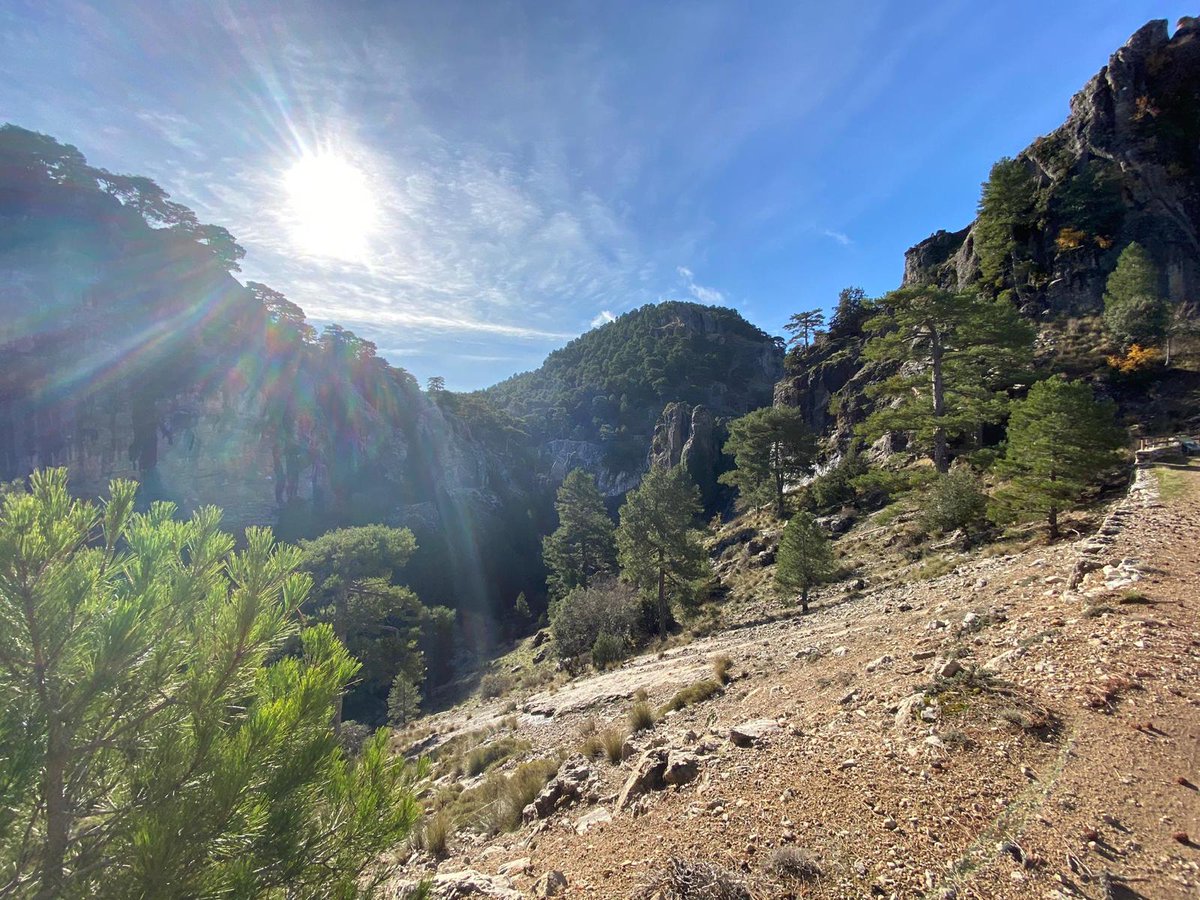 Loratour's tweet photo. Feliz día de la Tierra!!! 
Fotos: Parque Natural de Cazorla, Segura y Las Villas.
❤nature❤ https://t.co/xWdIiHQmj0