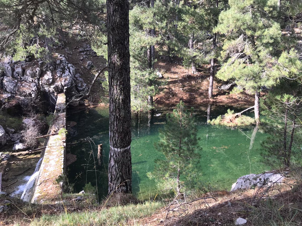 Feliz día de la Tierra!!! 
Fotos: Parque Natural de Cazorla, Segura y Las Villas.
❤nature❤