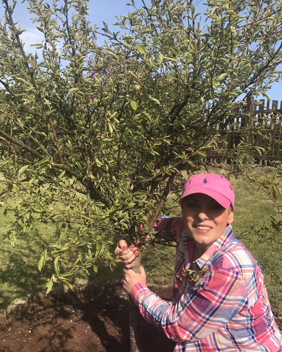 sjps73Nur's tweet image. Help us celebrate Happy Earth Day by doing some earthy activities, like why not hug a tree? Help to do the recycling or do some planting. Please send Photos to @sjps73Nur so we can celebrate together  #EarthDay2020