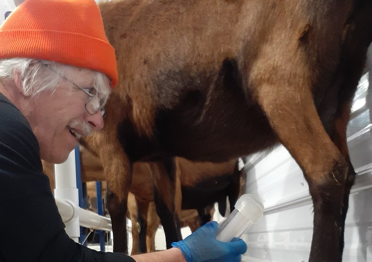 caprinicreamery tweet media