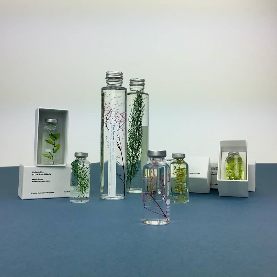 Eine schöne Lieferung aus Südkorea hat uns während unserer kleinen Zwangspause erreicht. Die kleinen Pflänzchen sind in einer wässrigen Lösung haltbar eingelegt und somit ein hübscher Blickfang.

bit.ly/3awxs9A

#artundform #slowpharmacy #weareback