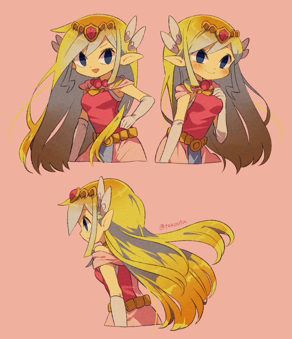 ゼルダ姫 