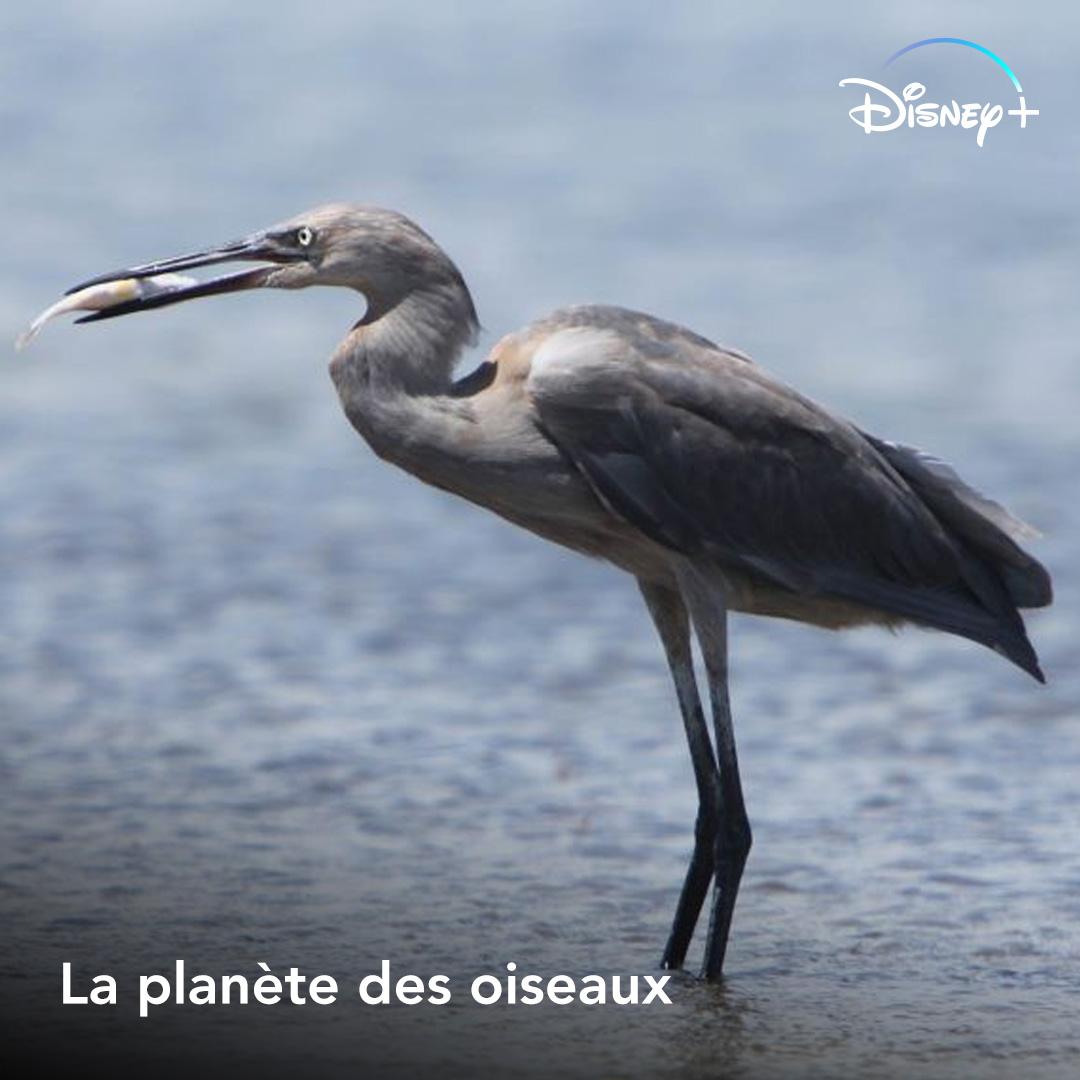 Pour la Journée de la Terre, on vous laisse apprécier quelques merveilles de notre belle planète. 🌍