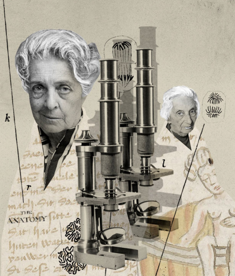 «Voluntad heredada».
Por <a href="/PabloPCoronel/">Pablo Pineño</a> · Ilustra Sr García
Otro texto homenaje a Rita Levi-Montalcini y a su prima Eugenia Sacerdote en el #RitaLeviMontalciniDay #DíaDeRitaLeviMontalcini #MujeresDeCiencia #Efemérides #TalDíaComoHoy
principia.io/2019/02/11/vol…