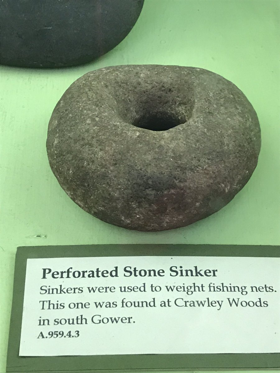  #MuseumsUnlocked Here’s a selection of beautiful stone axes and hammers (with a sneaky photobomb by a Bronze Age axe - more on that later) uncovered from around Gower (2)