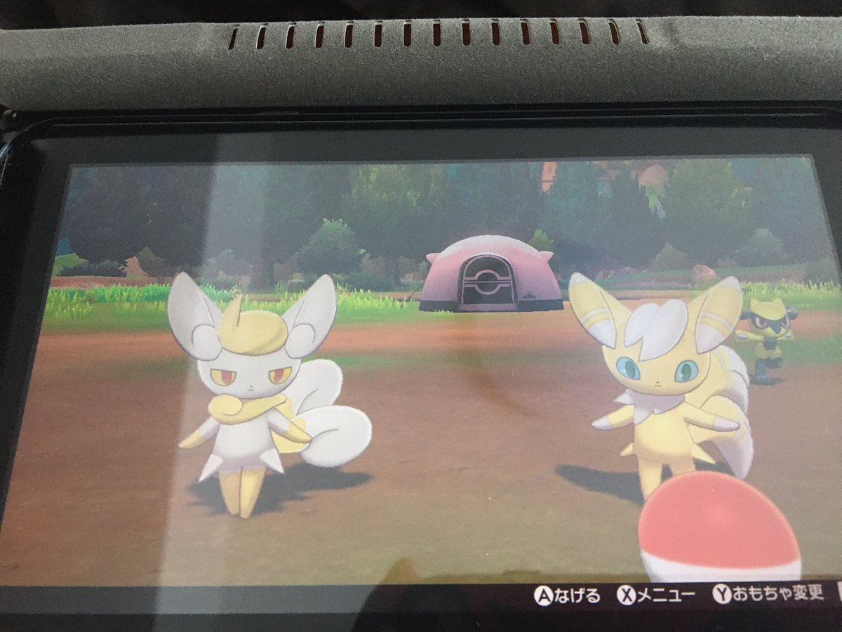 ｷﾜﾐﾝ 最近はニャオニクス がかわいい ダブルにて で悪波と両壁を封印しつつ で殴る的な運用を想定してたんだが 同ポケ制限に引っ掛かかるのを知らなくて涙をみたのはまた別の話 おのれニドラン