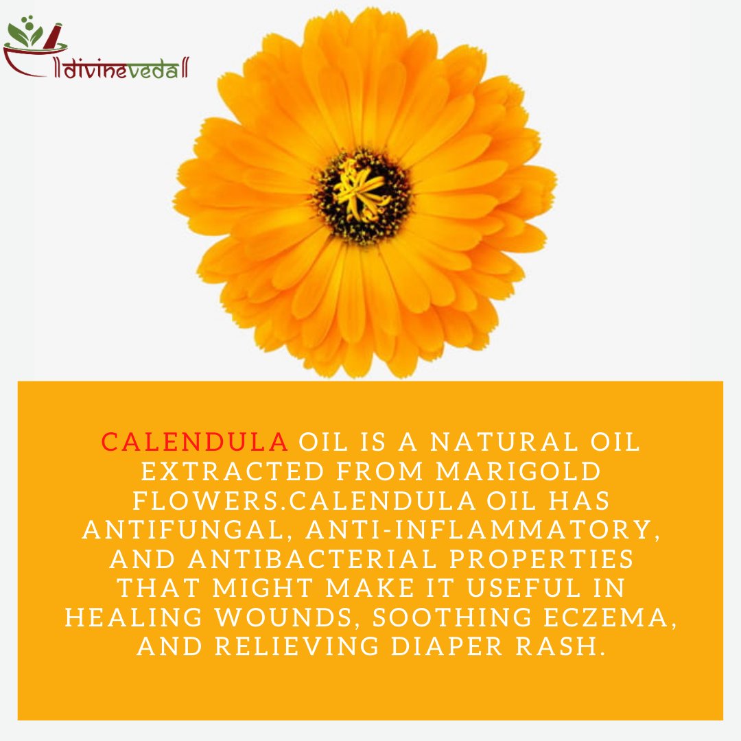 Divineveda1's tweet photo. Calendula oil benefits for skin:
1. Calendula cream as sunscreen
2. Calendula oil for wounds
3. Calendula oil for diaper rash
4. Peeling lips (exfoliative cheilitis)
5. Leg ulcers.
#ayurveda #healthy #healing #healthcare #ayurvedic #ayurvedicmedicine #calendulaoil https://t.co/DAk8yUYfCe