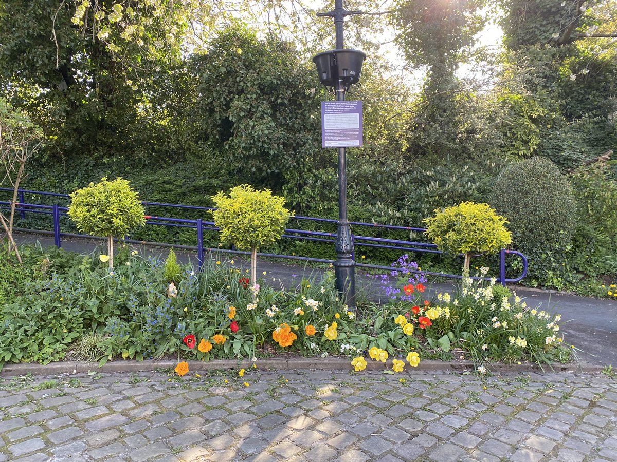 Alderley Edge Station Volunteer Group tweet media