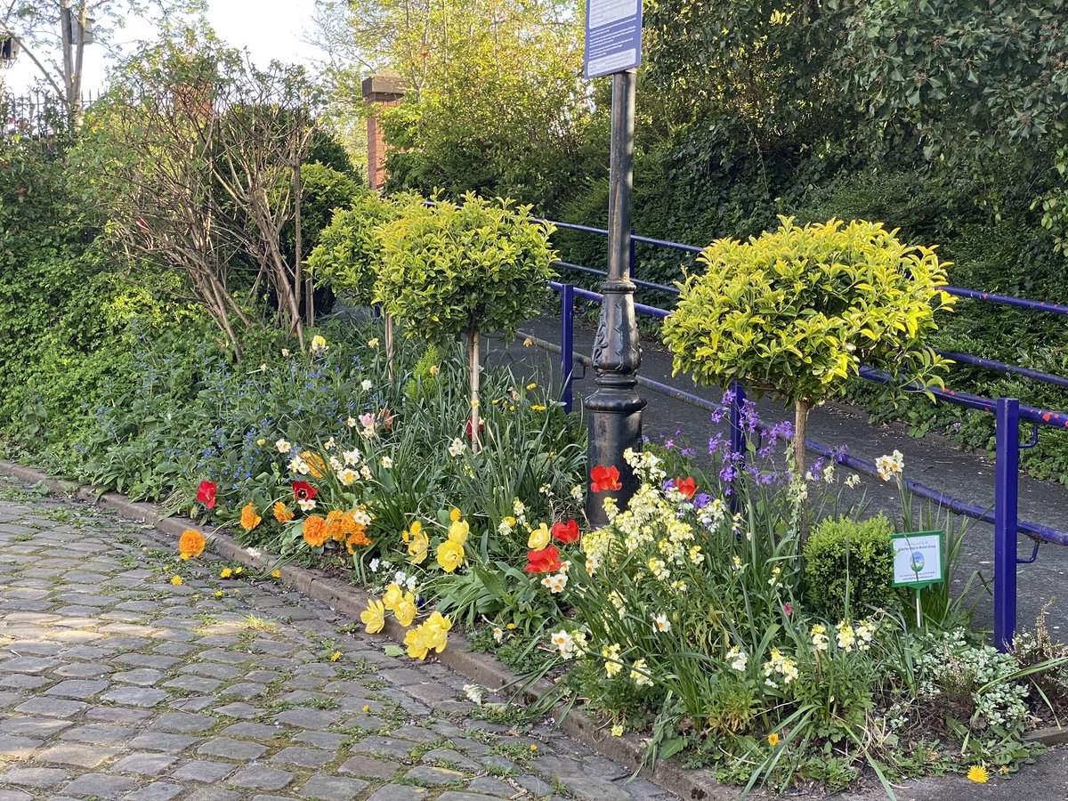 Alderley Edge Station Volunteer Group tweet media