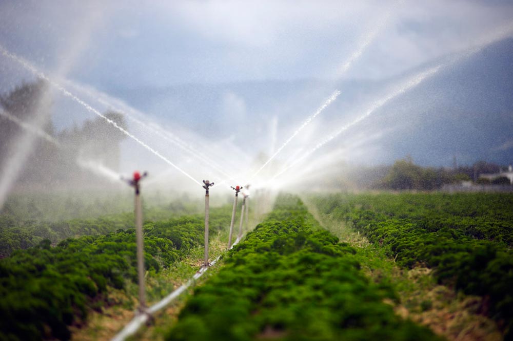 Horticulture New Zealand tweet media