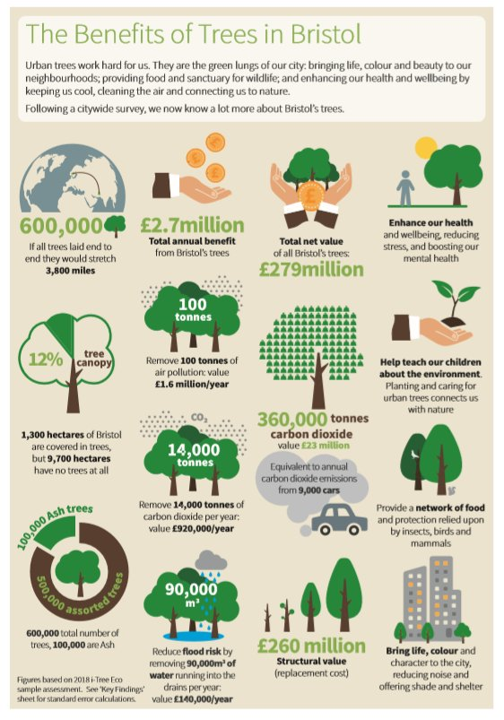 Our urban and street trees give us so much.Time to give a little back.Image from  @CamCanopyProj