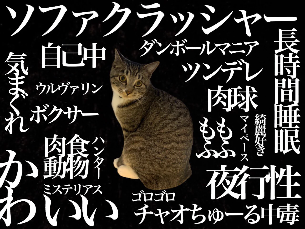 @kami_su_e_ 私も記念に猫の特徴をエヴァ風にしました 