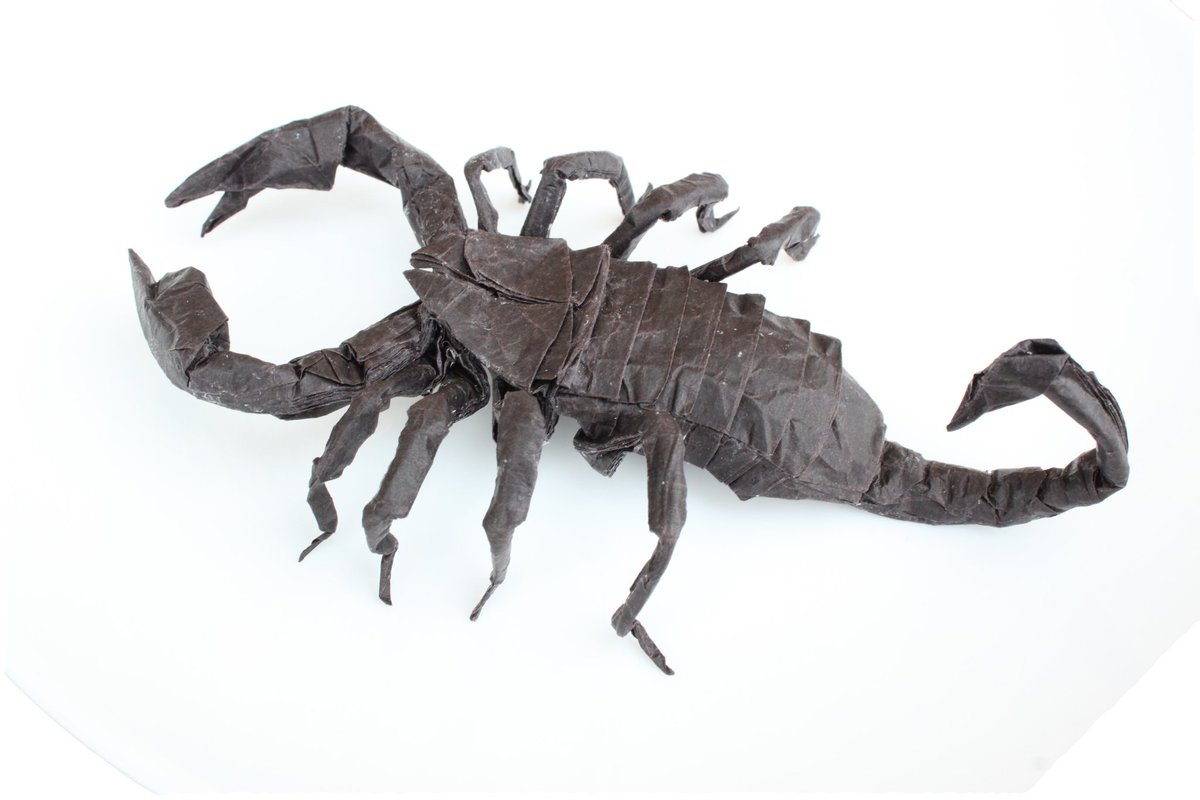 Monsteraとnくん チャグロサソリ 創作者 Sさん Tuok3110 折手 Nくん 42 42cmチョコグラシン 64等分展開図折り ねぇねぇ キモく折れた と 嬉しそうに聞かれました 折り紙作品 Origami