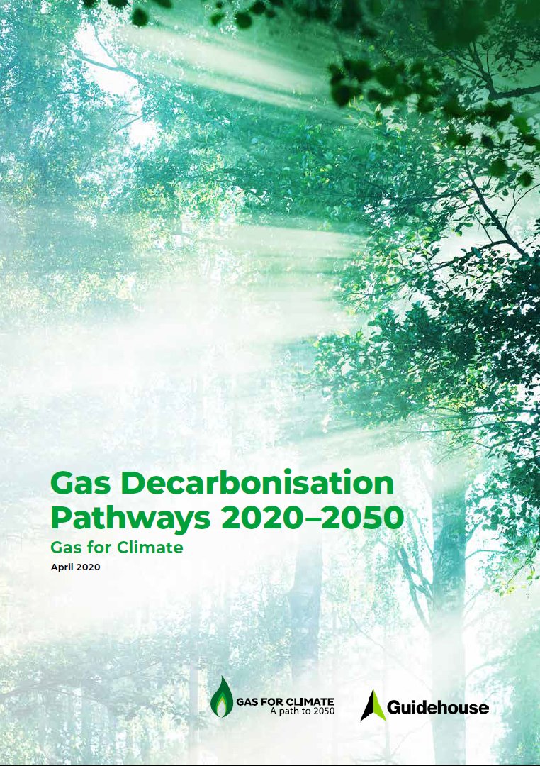 Published today: our new  #GasforClimate report! Gas Decarbonisation Pathways 2020-2050. How to achieve net-zero emissions in the EU energy system, at an affordable cost. By  @GuidehouseESI (former Navigant/Ecofys)Download it here:  https://gasforclimate2050.eu/sdm_downloads/2020-gas-decarbonisation-pathways-study/