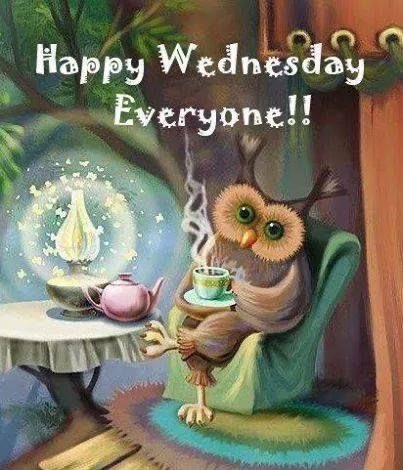 𝕄𝕚𝕤𝕤 𝕎𝕚𝕝𝕔𝕠𝕩 👩🏼‍🏫 tweet media