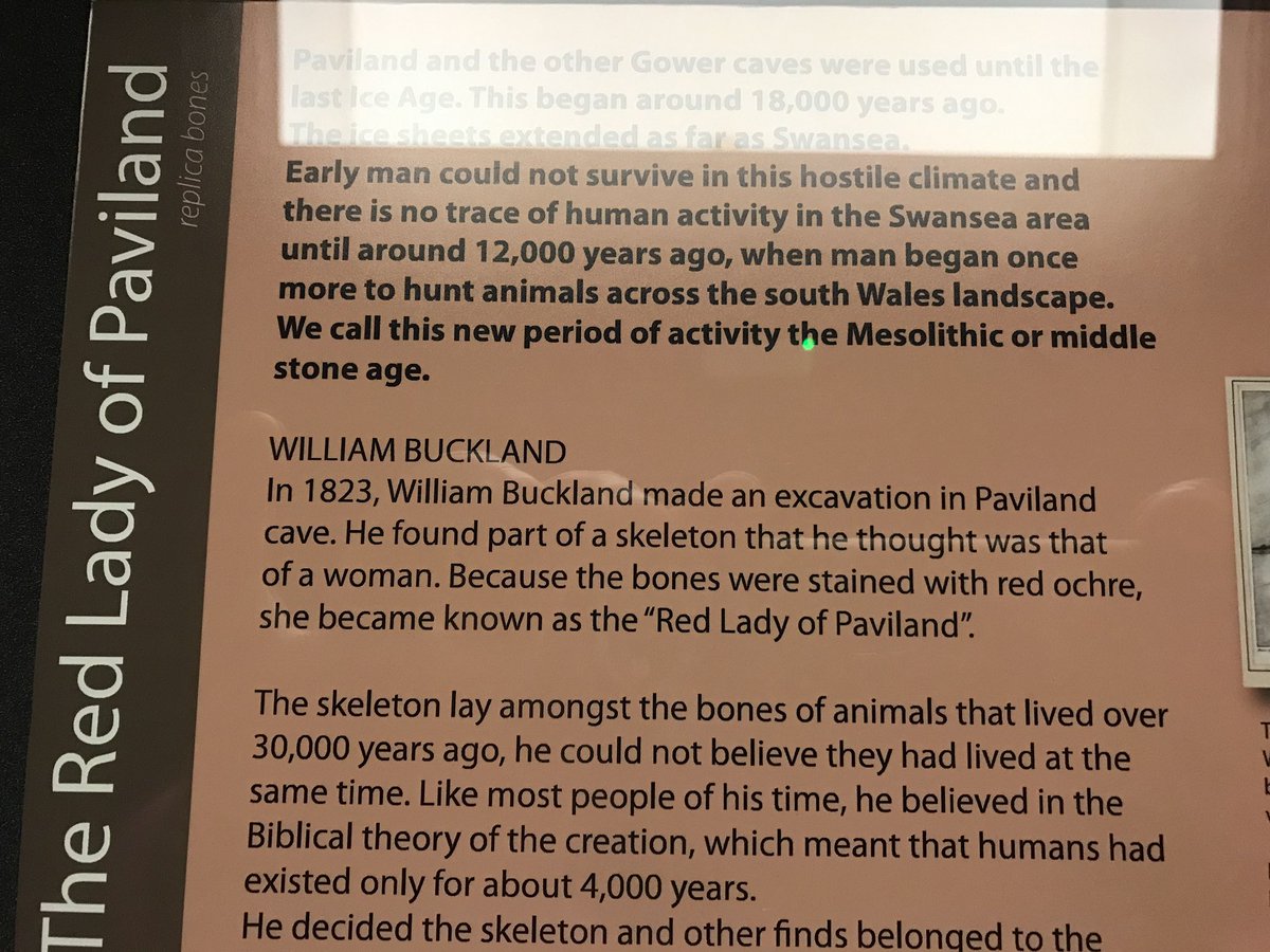  #MuseumsUnlocked Finally, here are replica remains of the Red ‘Lady’ of Paviland. Excavated by William Buckland in 1823. Originally thought to be a Roman era female, subsequent dating has shown that this is a young man who died between 33-34,000 years ago. (6)