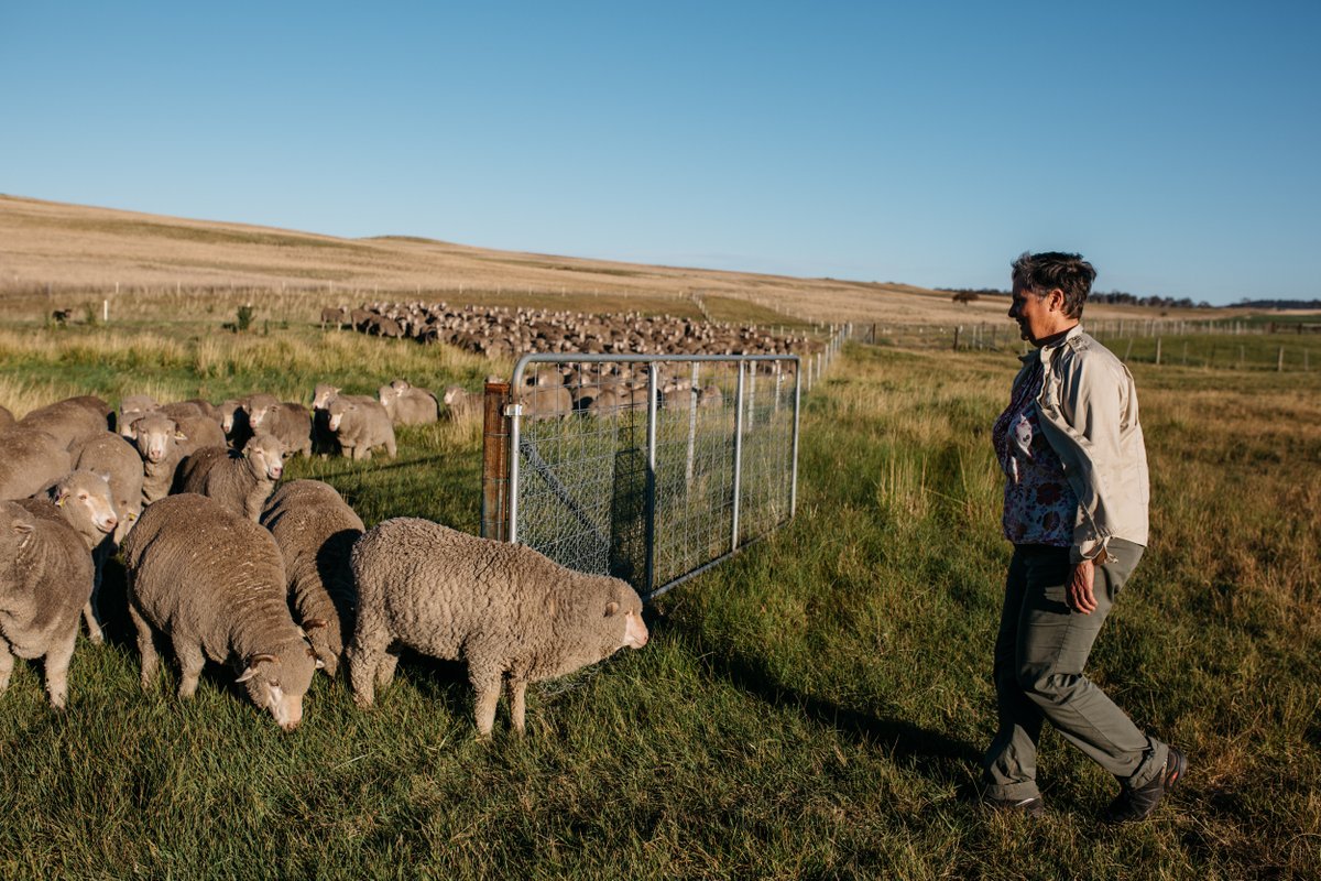 "If there is ever going to be a move towards this vision that I have of how we could farm in a really different way, it will be led by women." On #EarthDay2020 we thank #womeninag, such as Nan Bray, for sharing their experiences with sustainable farming: invisiblefarmer.net.au/blog/nanbray-w…