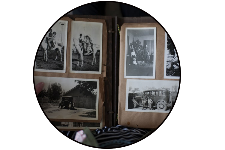 WillaCity's tweet photo. Plans for the next 4 days:
Scan your old photo albums.
You are welcome! https://t.co/P9Vldxa3WH