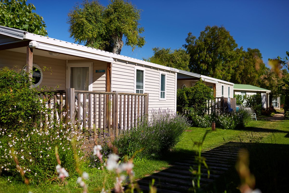 Qui té ganes de descobrir les novetats que tenim preparades? 🙋‍♂️🙋‍♀️ Són la bomba 💣

#campingsalata #aRoses #joemquedoacasa #totaniràbé🌈 #season2020