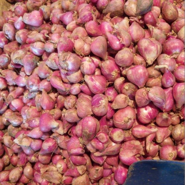 akhirrambe's tweet photo. Saya menjual Bawang merah brebes asli seharga Rp55.000. Dapatkan produk ini hanya di Shopee! https://t.co/nTvjeXJoNQ #ShopeeID https://t.co/HOpDvWjrod