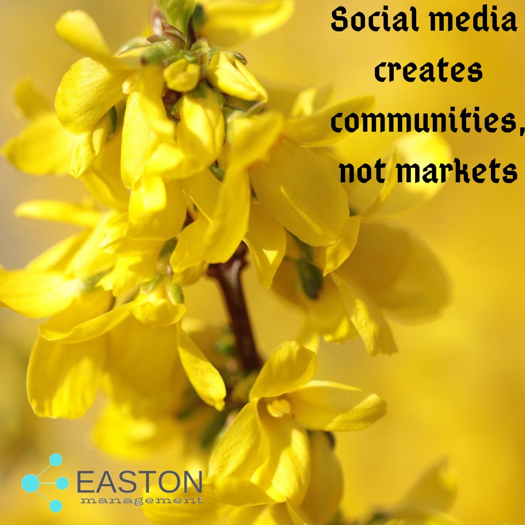 Eastonmng's tweet photo. 👉 Social media communities creations

#socialmedia #socialmediacommunities #socialmediamarketing #socialmediastrategies https://t.co/9vCmpeJXUe