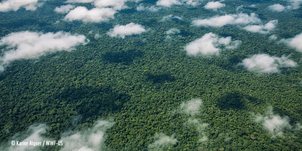 🌍 Aujourd'hui c'est la journée de la Terre ! Prenons un petit moment pour l'admirer 😍💚 #EarthDay