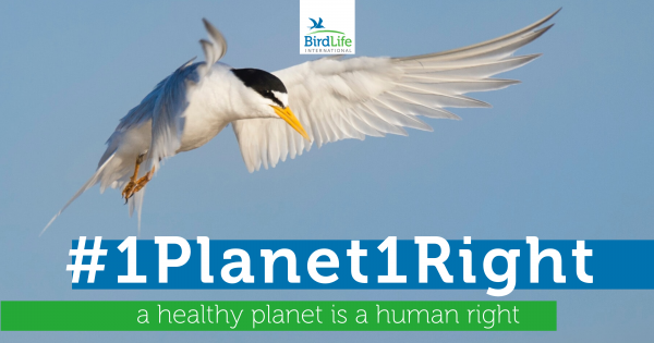 @BirdLife_News #EarthDay2020 For a new human right
 to a healthy natural environment #1planet1right