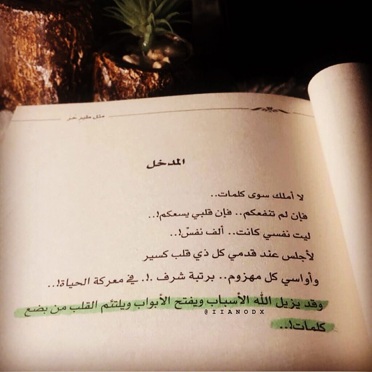 Faylasof فيلسوف Auf Twitter م قتبس من مثل طير حر اقتباسات اقتباس القراءة كتب كتاب اقوال اقرأ خليك بالبيت كتب ورقية