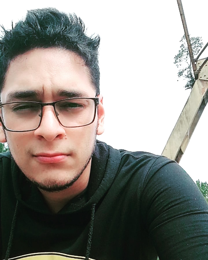 Me duele vivir a veces; el vacío y la rutina predecible de estudiar para luego buscar trabajo y luego terminar repitiendo lo mismo una y otra vez hasta que me expectore la sociedad peinando canas a futuro.