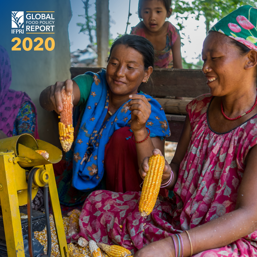 IFPRISAO's tweet photo. Do you know how crucial women are to food systems? Here are just some of their roles: 
🌽Grow &amp; manage crops
🍳Cook for their families
🐄Tend livestock
📊Work in agribusiness

Learn more in Ch. 4 of @IFPRI’s 2020 Global Food Policy Report👉🏽https://t.co/6ydAYRsYWQ
#GFPR2020 https://t.co/pFE6PFGcOQ