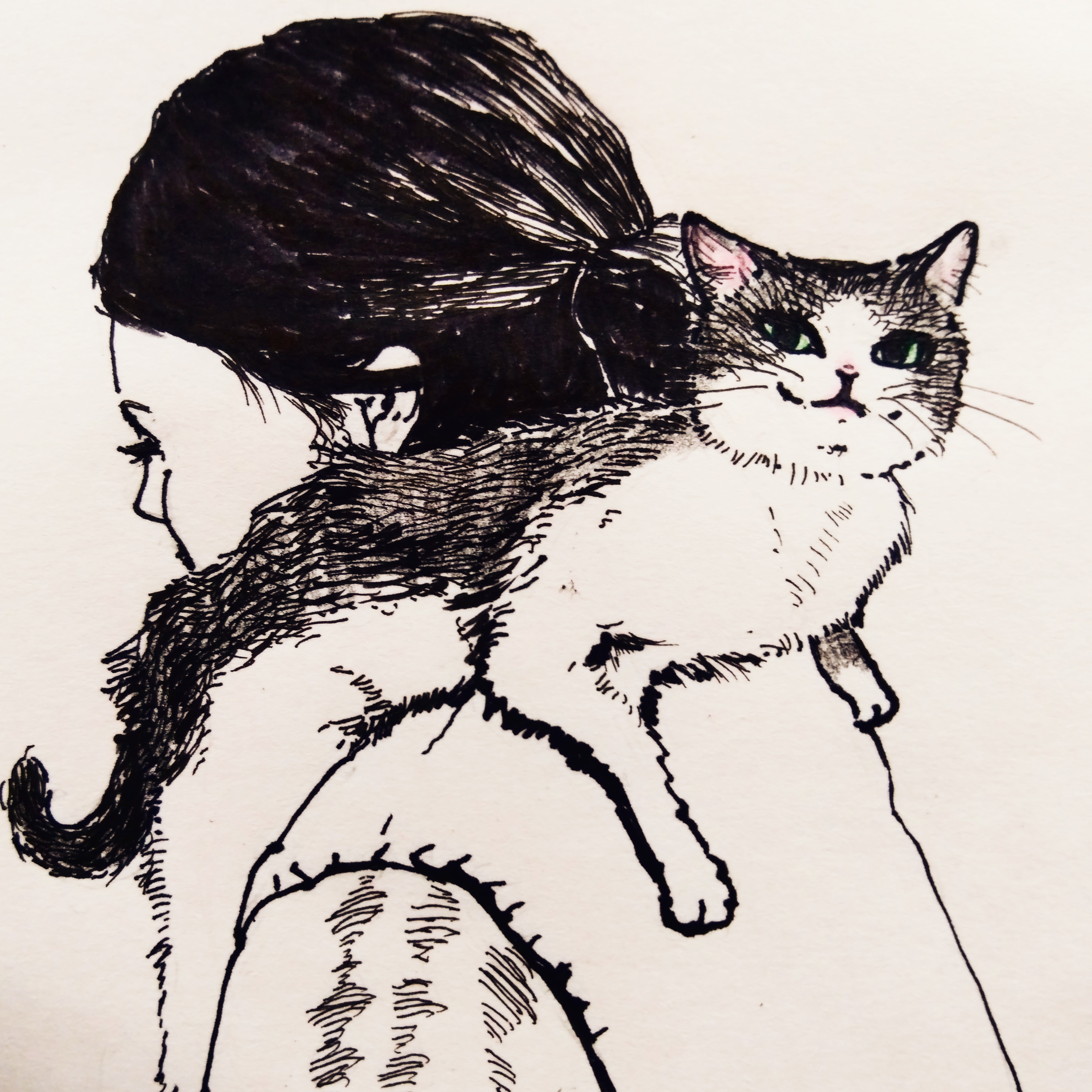 ネコの絵 Twitter Search Twitter