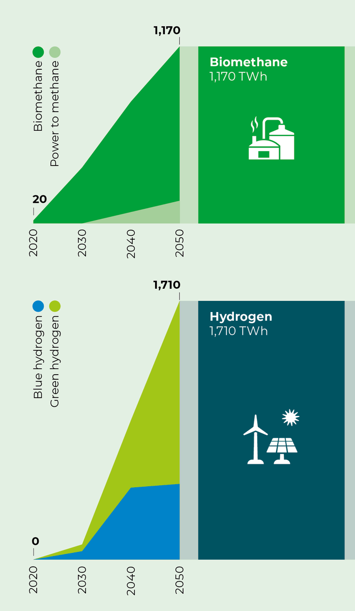 On the left, note how in the coming decade,  #biomethane can already ramp up towards its full 2050 potential, and how the big jump of green and blue  #hydrogen towards its 2050 potential can be prepared.  #GasforClimate