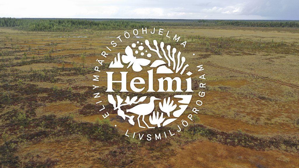 yministerio's tweet photo. Tärkeä kauppa: 380 ha Helmi-ohjelman soidensuojeluun!

@MikkonenKrista: Sarvisuo on luontoarvoiltaan suojelemattomien soiden parhaimmistoa. Upeaa, että saamme sen suojeluun. #Helmi-ohjelmassa soidensuojelu on maanomistajille kannattavaa ja vapaaehtoista.
🔗https://t.co/IzipZLzLzm https://t.co/s6o7rM9Tl9