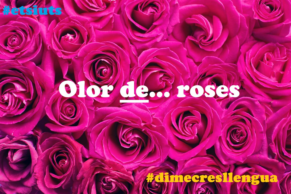 cpnlosona's tweet photo. CNL d'Osona Fes-ho córrer! https://t.co/SGtP16W9oo #etsiuts #dimecresllengua Connecta't. Activa el teu català! #CPNLaCasa @cpnlcat https://t.co/D1MOGmyWL8
