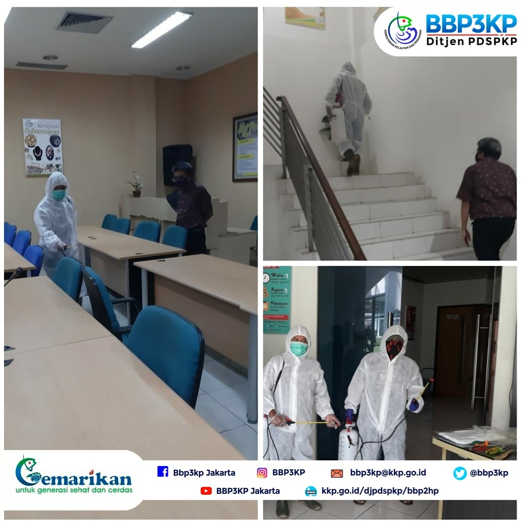 Salah satu upaya untuk pencegahan penyebaran COVID-19 di lingkungan BBP3KP, maka telah dilakukan penyemprotan cairan desinfektan dari mulai ruang tunggu/lobby, ruang-ruang rapat, ruang staf/pegawai, laboratorium dan ruangan lainnya. <a href="/Ditjen_PDSPKP/">Humas Ditjen PDSPKP</a>
