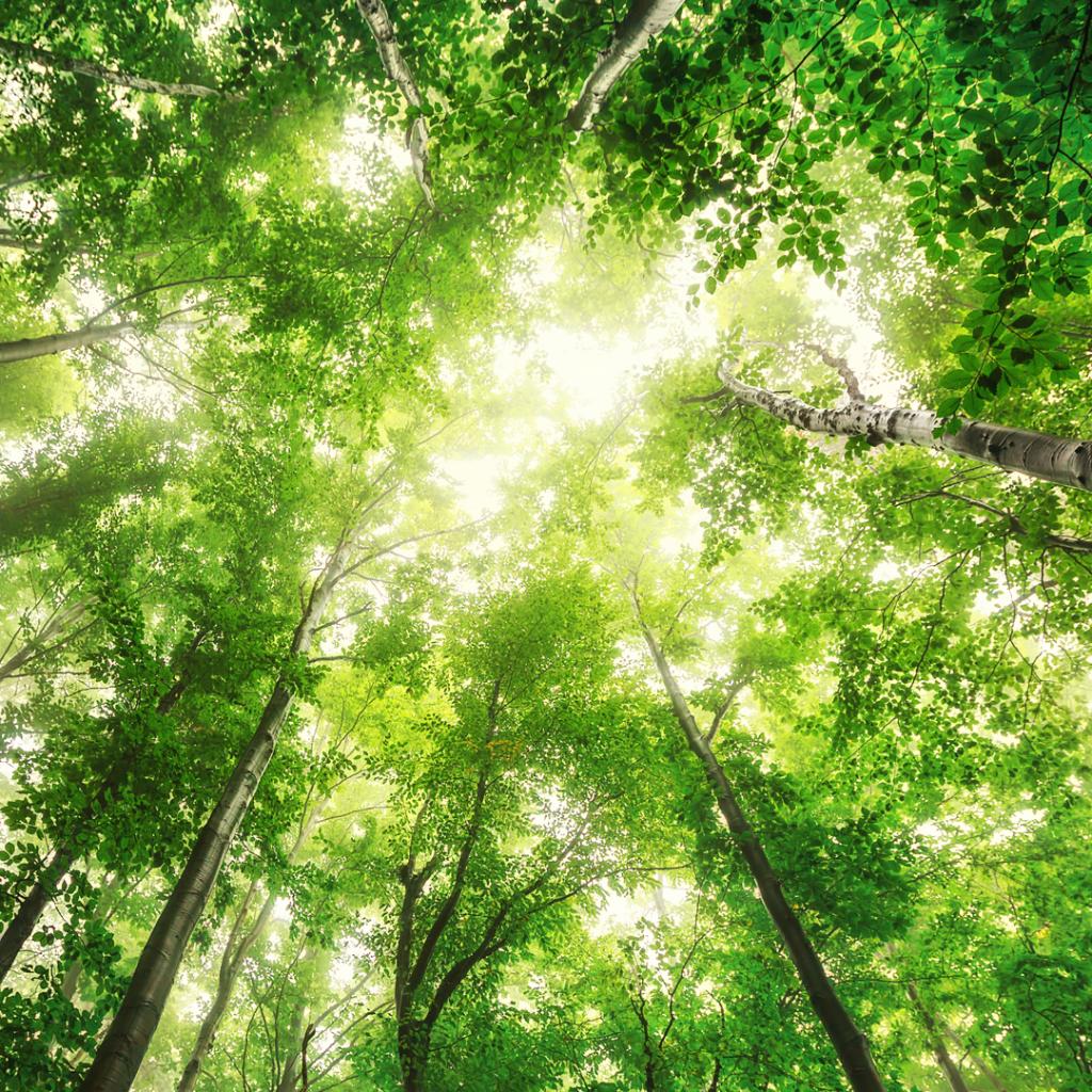 We celebrate #EarthDay, highlighting <a href="/Swarovski/">swarovski</a>’s commitment to lowering its environmental impact on the planet. Swarovski adopts innovative energy efficiency measures &amp; is committed to reducing energy consumption at its main production site by 25% by 2025. #SparkChange #SDG13