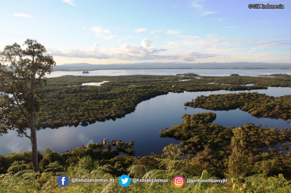 KedubesJerman's tweet photo. Selamat #HariBumi 2020! Sejak 2009 Jerman sudah mendukung perlindungan hutan Indonesia program #FORCLIME @GIZIndonesia dan KfW. Mari menjaga alam Indonesia dan dunia demi masa depan generasi selanjutnya โ ๐ฑ
#EarthDay2020 https://t.co/oDWZM0MCsG