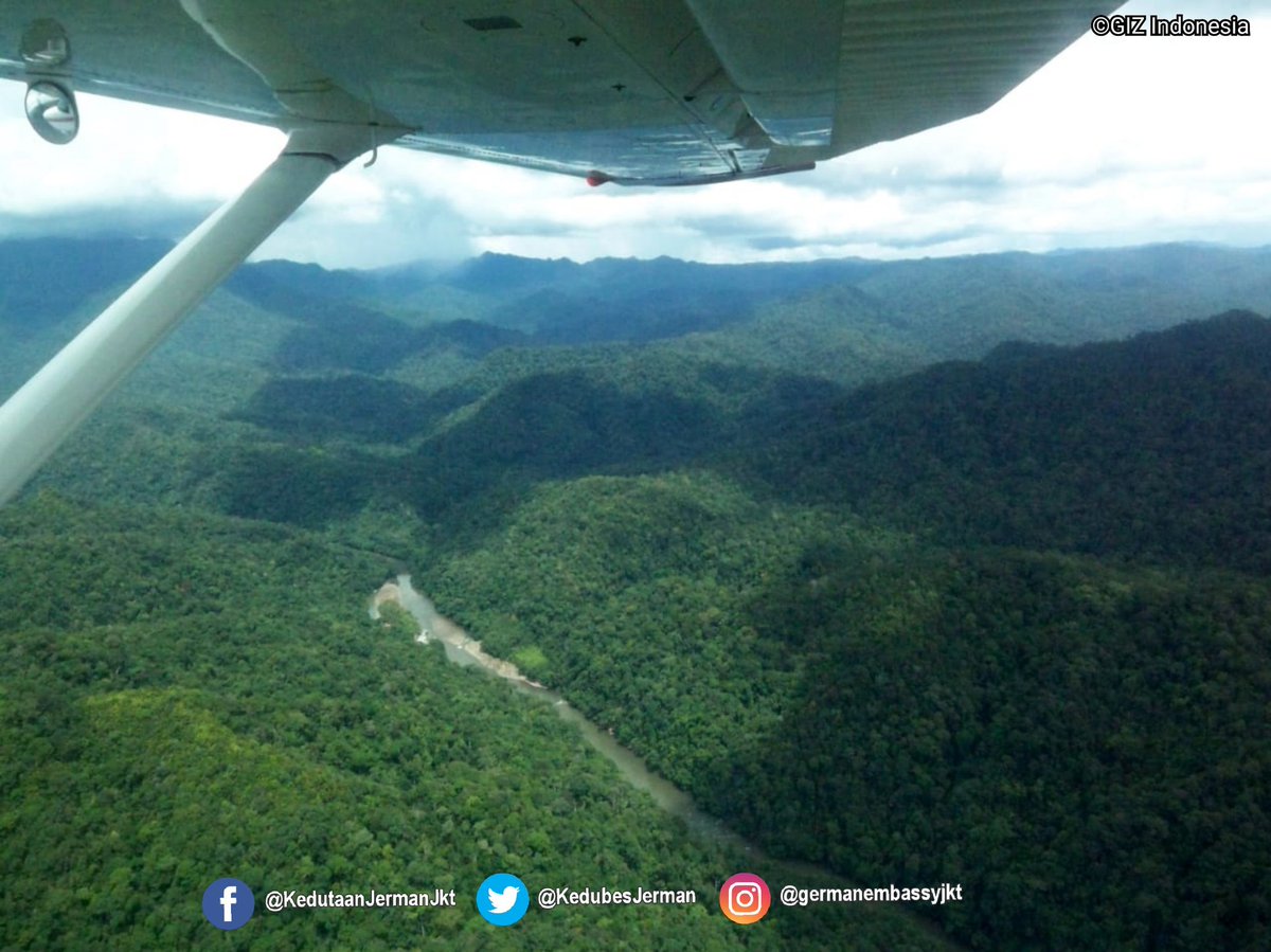 KedubesJerman's tweet photo. Selamat #HariBumi 2020! Sejak 2009 Jerman sudah mendukung perlindungan hutan Indonesia program #FORCLIME @GIZIndonesia dan KfW. Mari menjaga alam Indonesia dan dunia demi masa depan generasi selanjutnya โ ๐ฑ
#EarthDay2020 https://t.co/oDWZM0MCsG