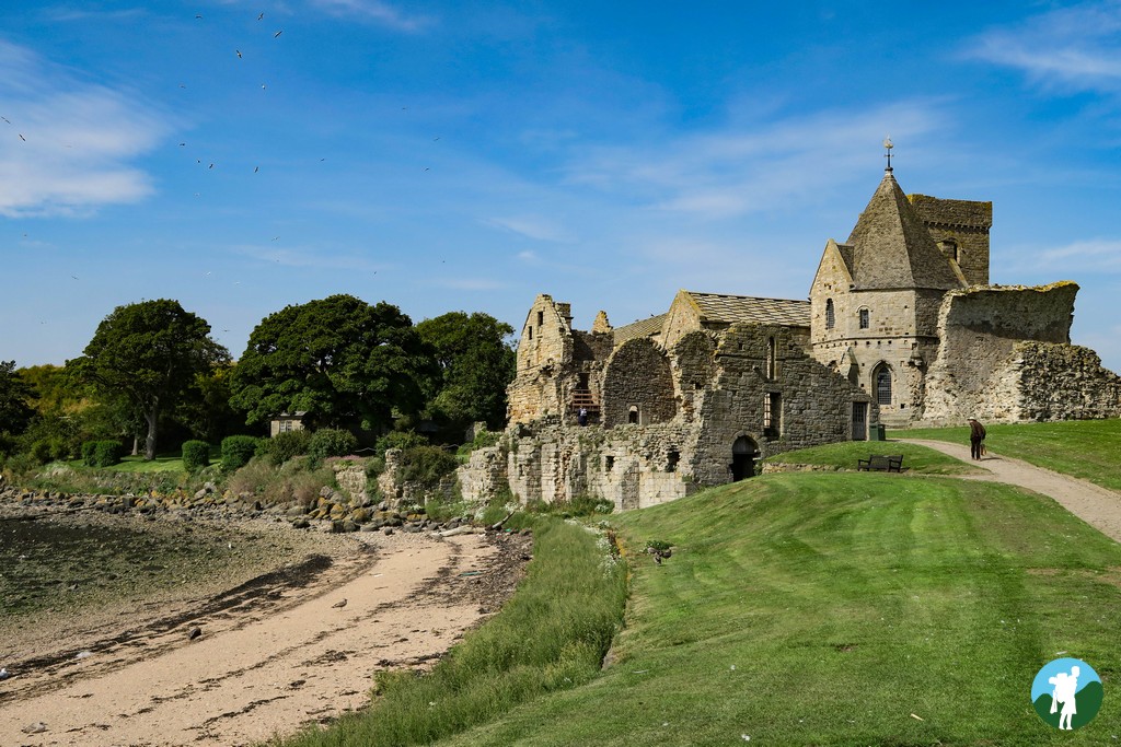 travelwithakilt's tweet image. Next requests - sunny day trips to Inchcolm Island and the Isle of May, both contenders for best days out from Central #Scotland! @ginareg3 @WORDIEBIRDIE13