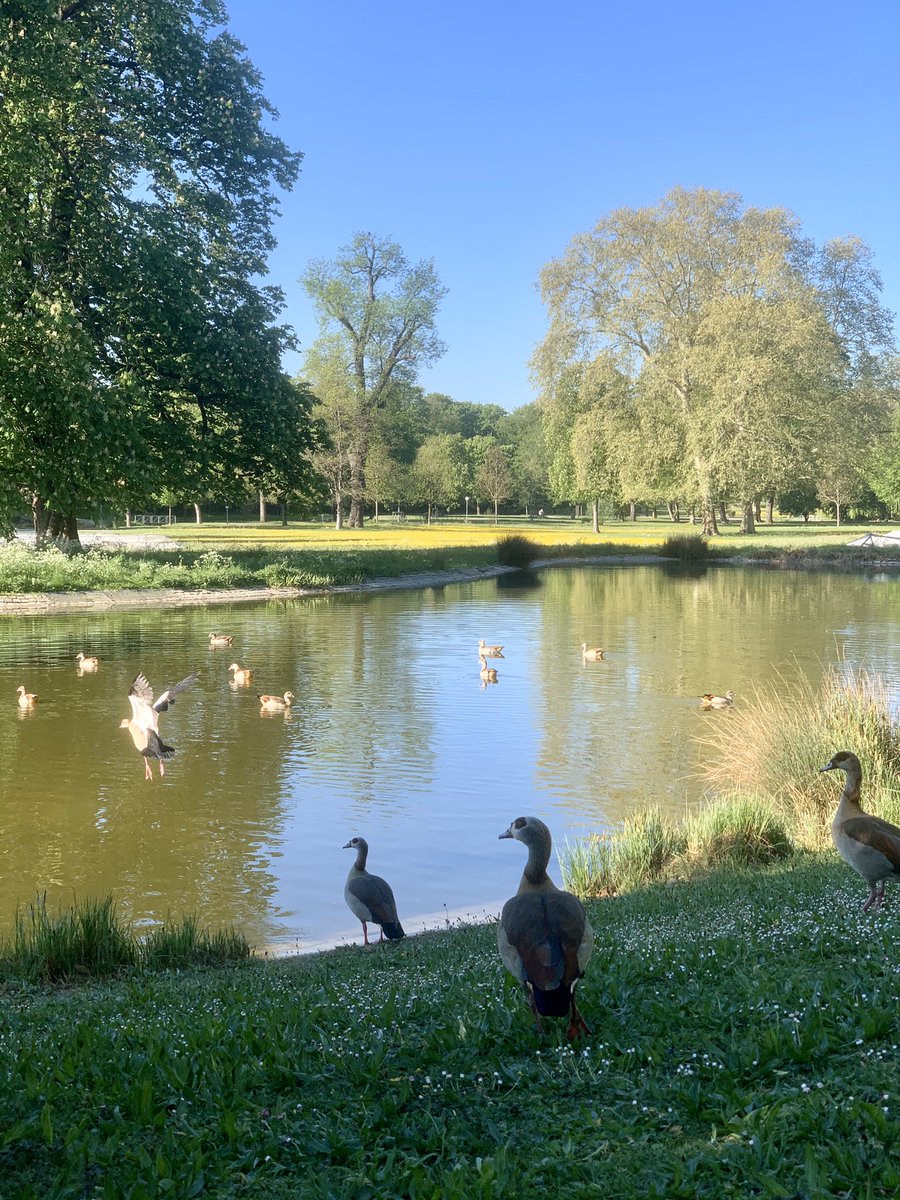 Lukas Fütterer // @lukizzl@mastodontech.de tweet media