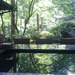 ツイートに含まれる画像