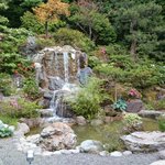 ツイートに含まれる画像