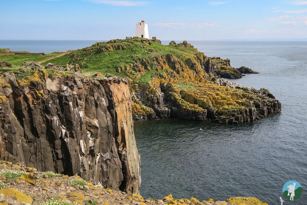 travelwithakilt's tweet image. Next requests - sunny day trips to Inchcolm Island and the Isle of May, both contenders for best days out from Central #Scotland! @ginareg3 @WORDIEBIRDIE13