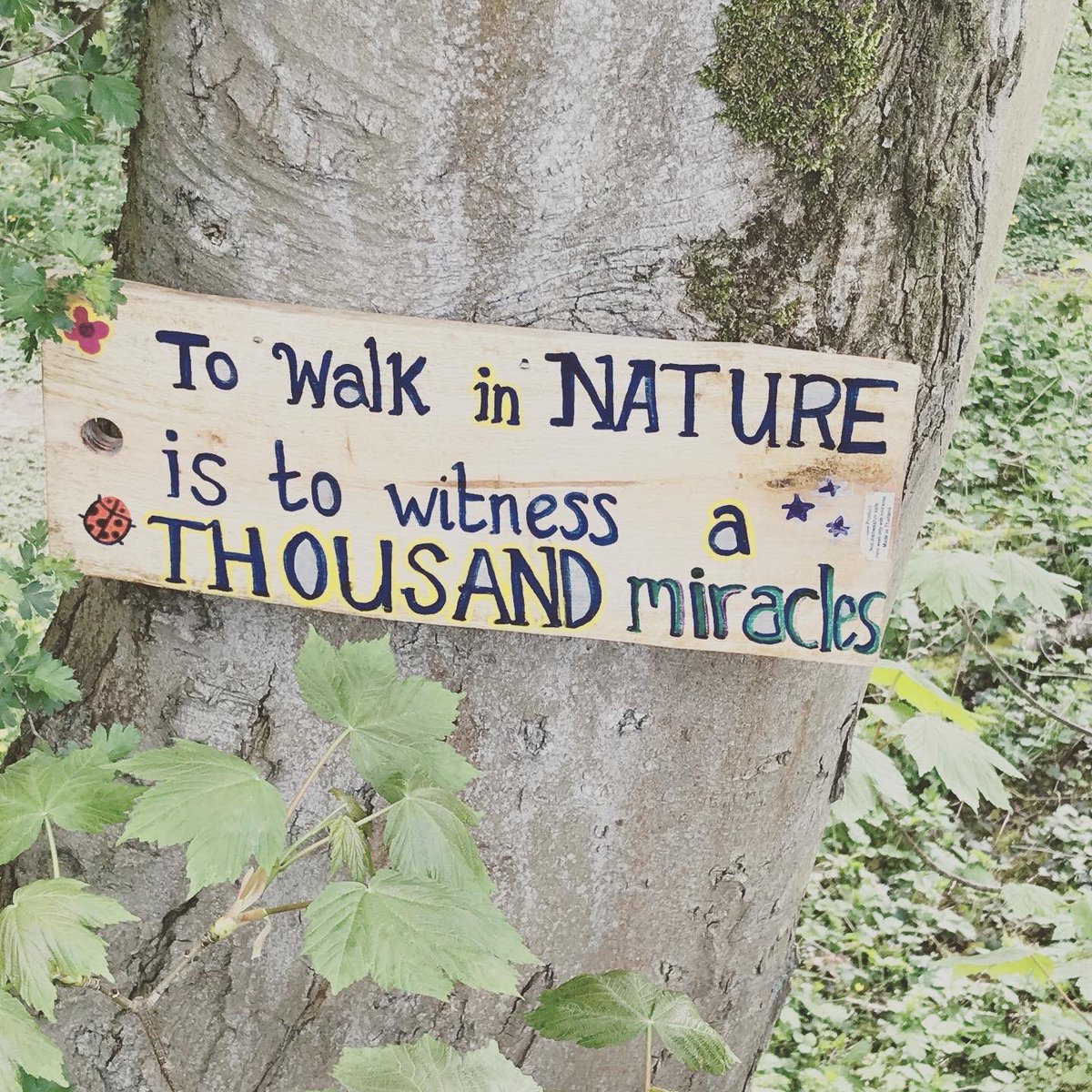 BluecoatBELIEVE's tweet photo. Incredible Easter Trail by @BWAComputing @Blue_Wollaton We’ve put the full version on our Instagram already @archwayfaith https://t.co/KDlKjE4VrM