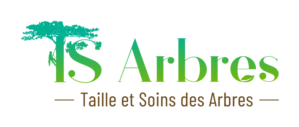 Ataldesign's tweet photo. Je vous fait découvrir un projet d'identité visuelle, une conception de logo et carte de visite pour TS Arbres.
Il s'agit d'un arboriste grimpeur qui réalise tous les travaux d'élagage et les soins nécessaires pour vos arbres.
https://t.co/yxfbcUbLTT https://t.co/mdfnObLCGI
