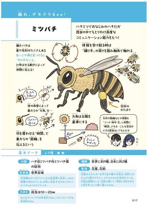 4月22日は地球の日(アースデイ)。花の受粉を助けて地球に貢献するミツバチに感謝しよう!とGoogle先生が言ってたので、拙著『ふしぎな昆虫大研究』からミツバチ図解をアップします。ダンスを駆使した高度なコミュニケーション能力が有名ですが、なんと「命がけのプレゼン大会」を開くこともあり…? 